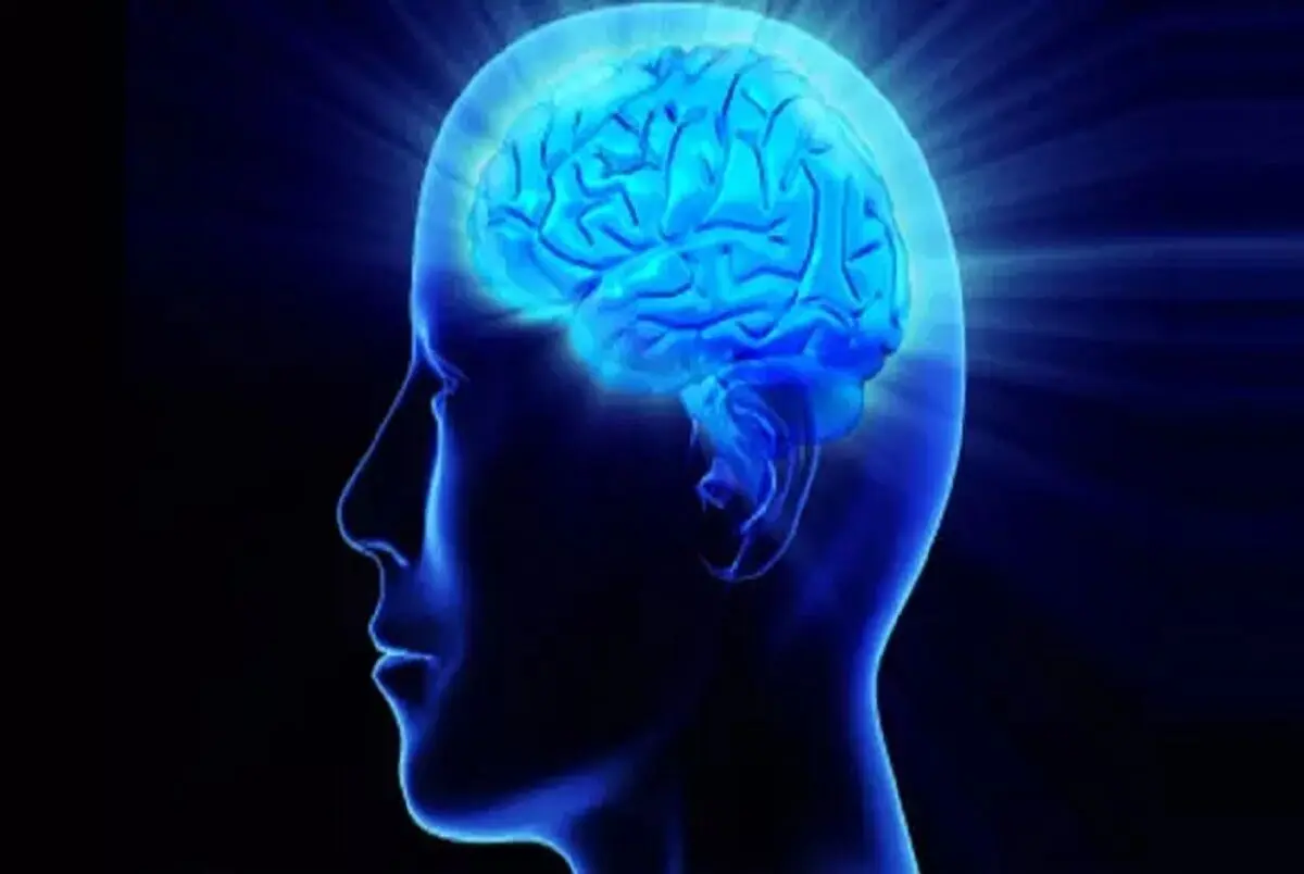 یک مقام وزارت علوم: متوسط IQ جامعه ایرانی بین ۸۰ تا ۸۵ است