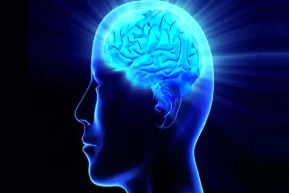 یک مقام وزارت علوم: متوسط IQ جامعه ایرانی بین ۸۰ تا ۸۵ است