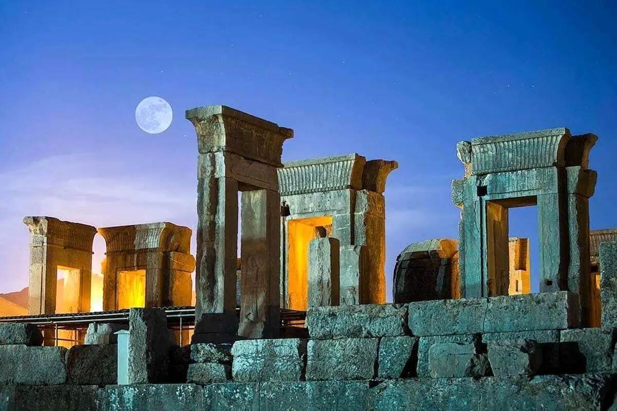 آنها بالای درخت زندگی میکردند!