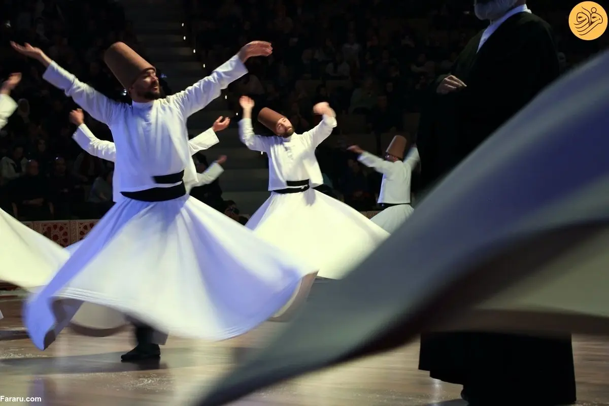 (ویدئو) حضور سرزده یک گربه در مراسم بزرگداشت مولانا