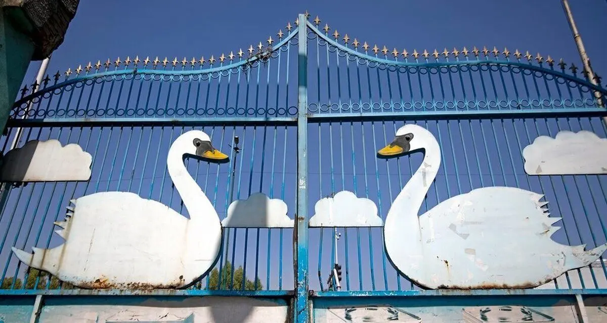 چطور یک بچه پولدار با رفیقش در جنوب تهران کارخانه ساختند؟