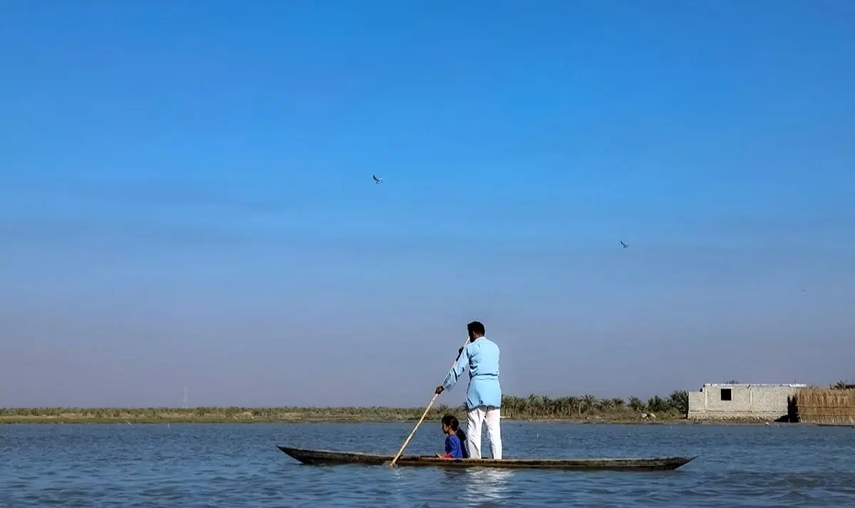 (تصاویر) زندگی در تالاب شادگان