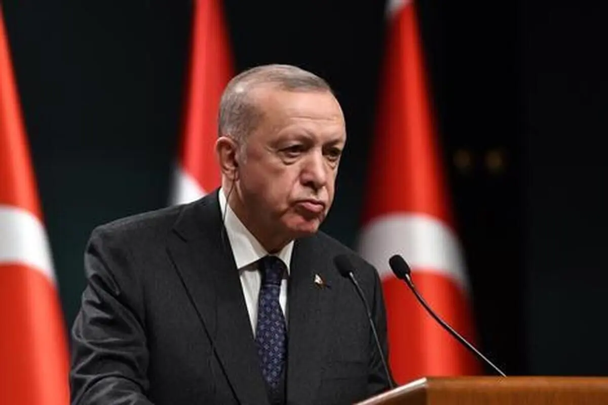اردوغان: ۵۸ میلیارد متر مکعب گاز کشف کردیم