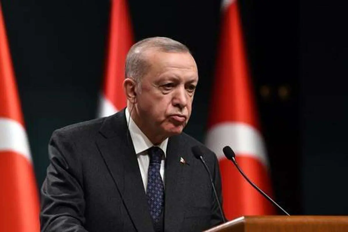 اردوغان: ۵۸ میلیارد متر مکعب گاز کشف کردیم