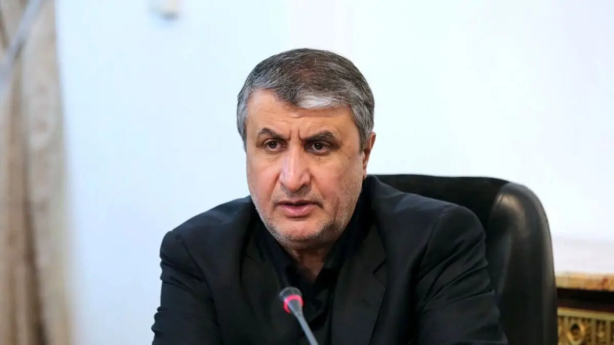 هماهنگی سفر مقامات آژانس به ایران بعد از تعطیلات ژانویه