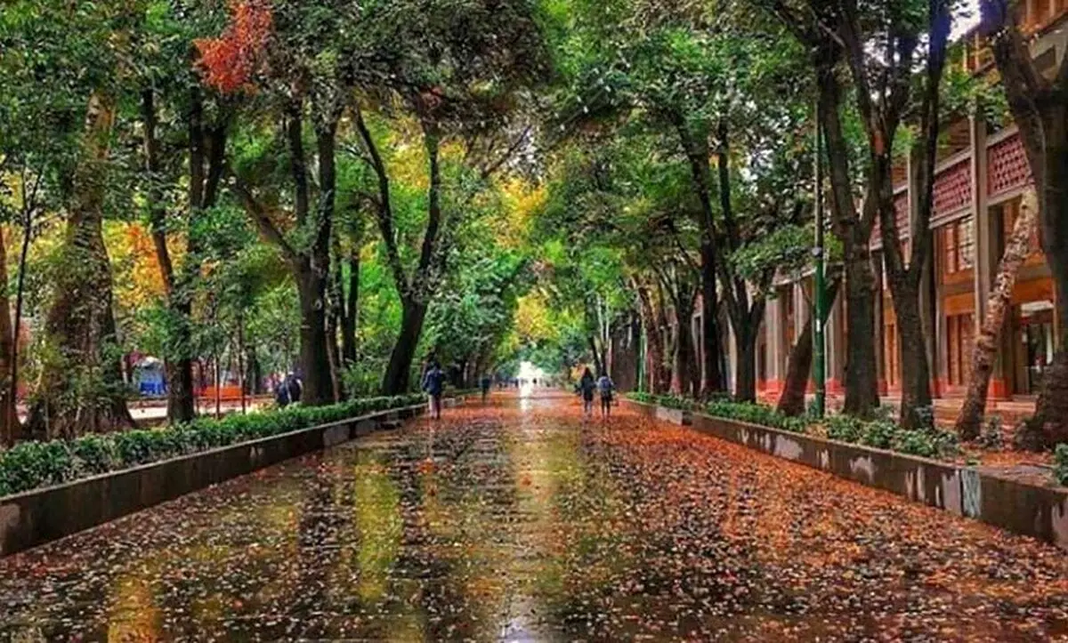 (ویدئو) تصمیمات ناگهانی، برای تاریخی‌ترین خیابان ایران