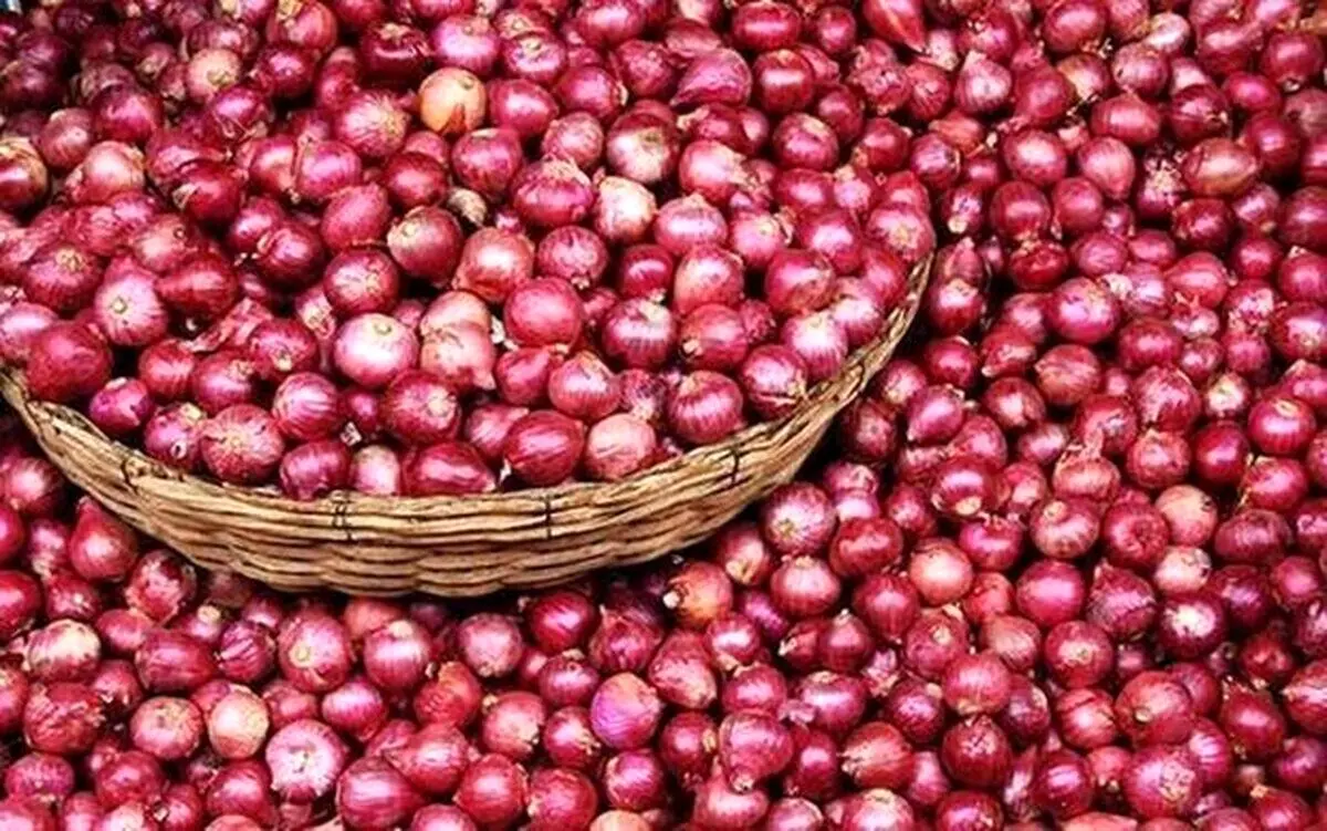چرا پیاز گران شد؟