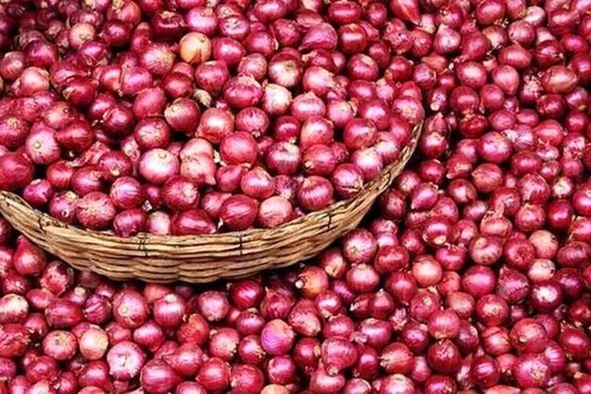 چرا پیاز گران شد؟