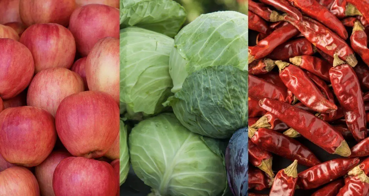 ۵ ماده غذایی از بدترین مواد برای اسهال