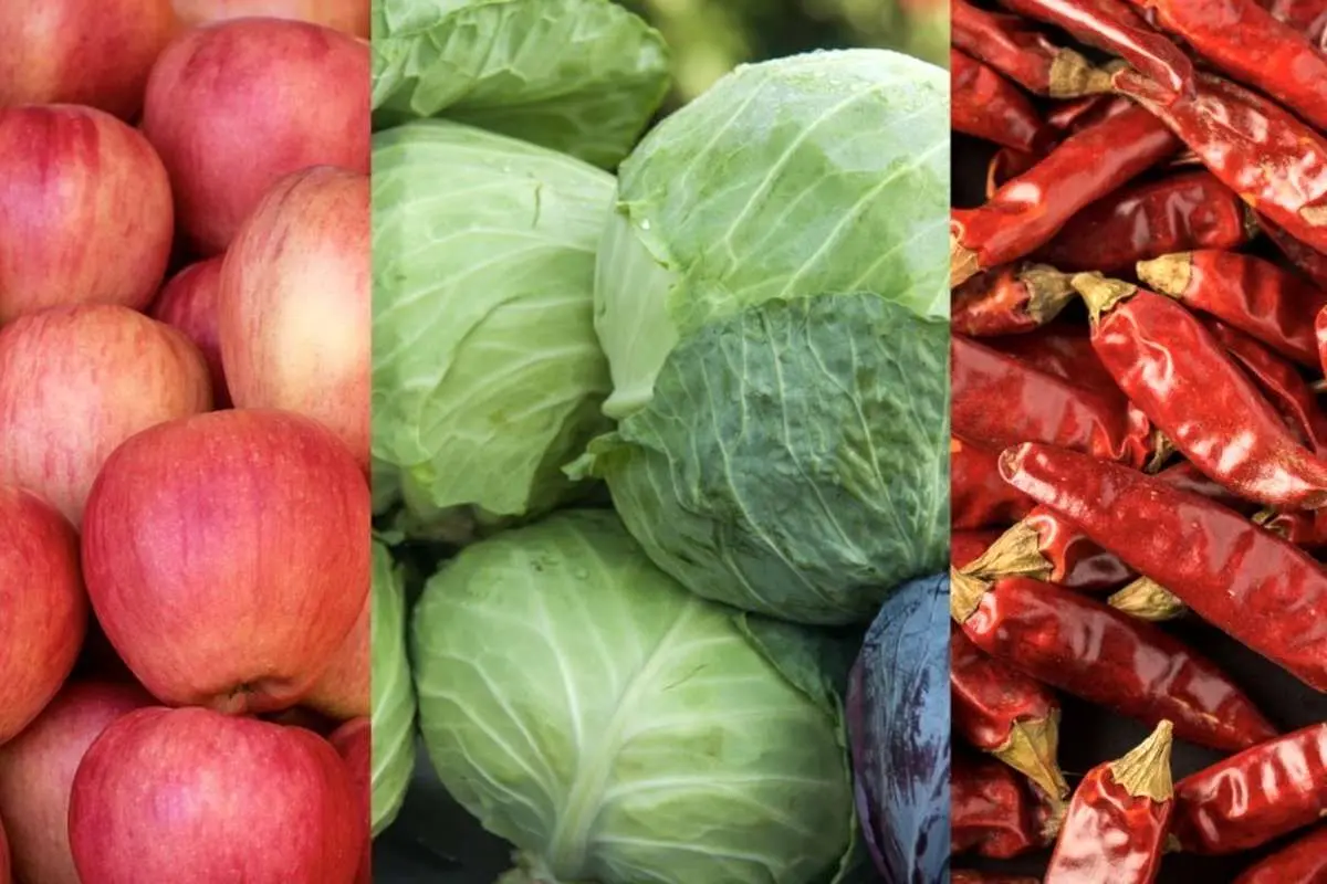 ۵ ماده غذایی از بدترین مواد برای اسهال