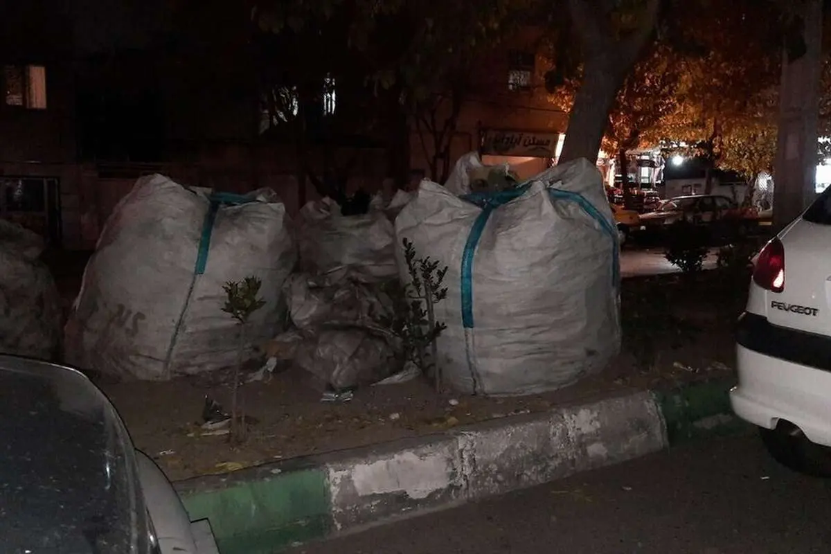 گفتوگوی متفاوت با چند زبالگرد؛ داخل مخازن زباله شمال شهر پول است
