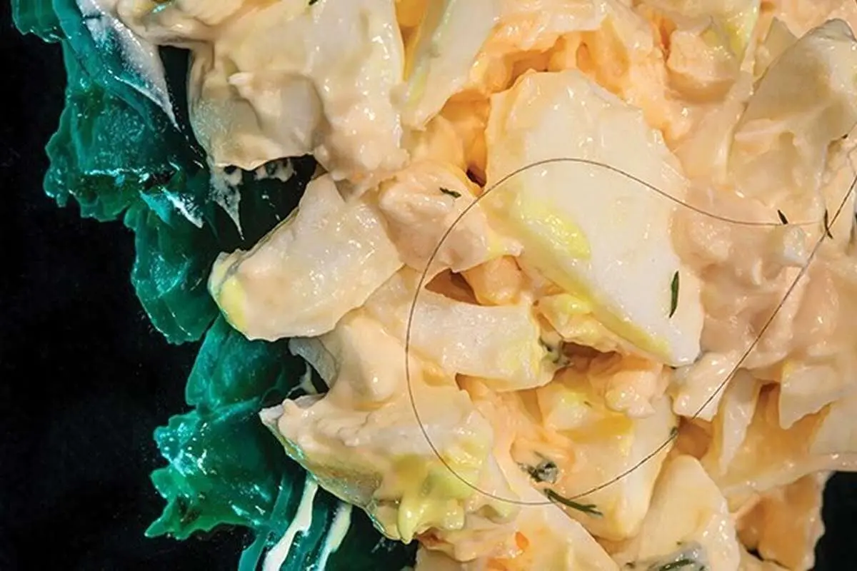 همه‌چيز از انزجار شروع می‌شود