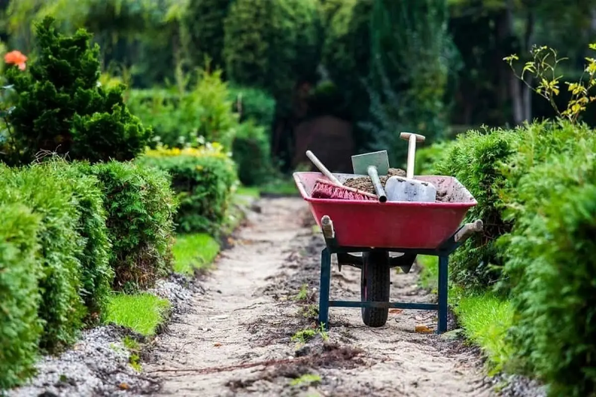 هفت حقیقت درباره فرغون هشت میلیونی