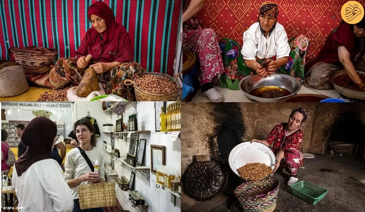 (ویدئو) روغن آرگان گرانبهای مراکش در خطر نابودی
