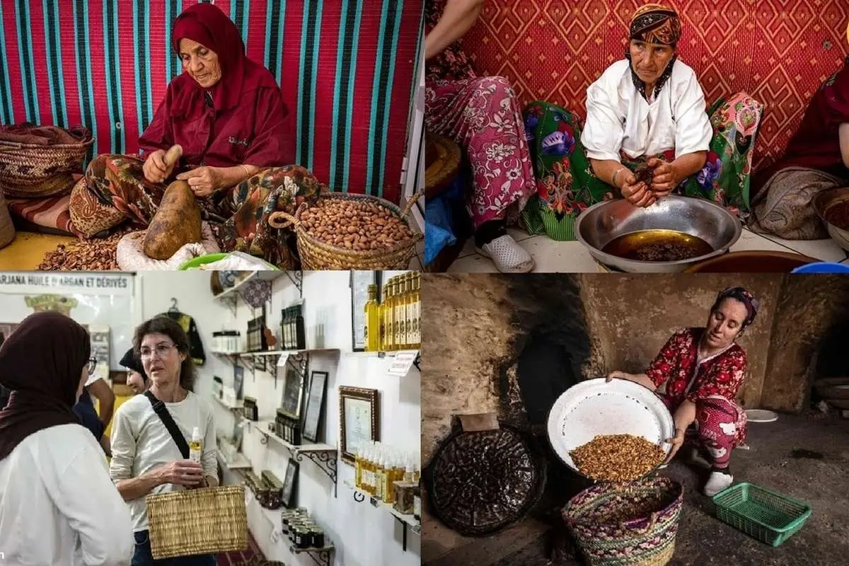 (ویدئو) روغن آرگان گرانبهای مراکش در خطر نابودی