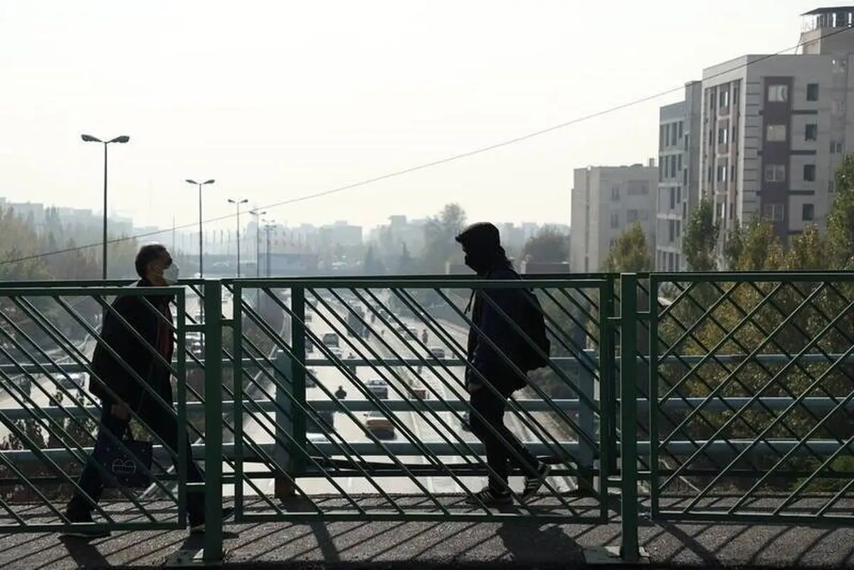 راهنمای خرید هفت خوراکی برای نبرد با آلودگی هوا