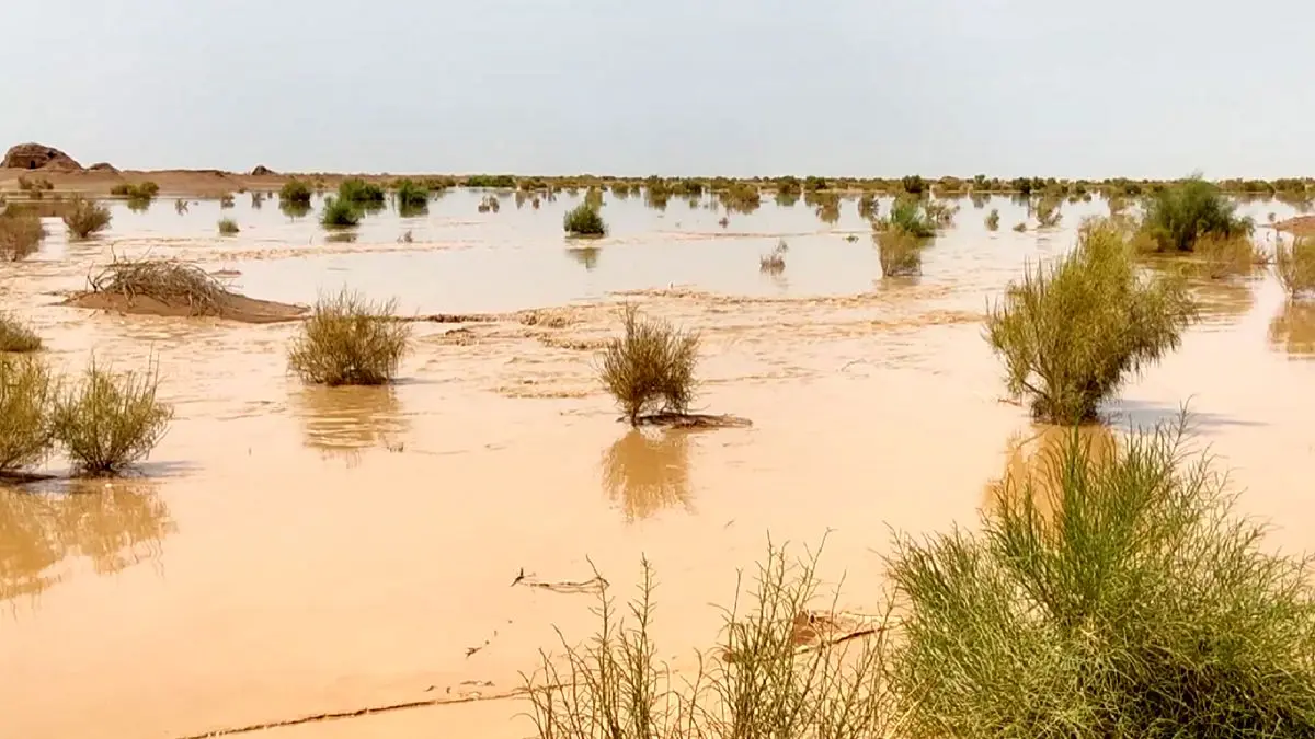 (ویدئو) پدیده‌ای نادر در طبیعت؛ سیل وسط کویر عربستان