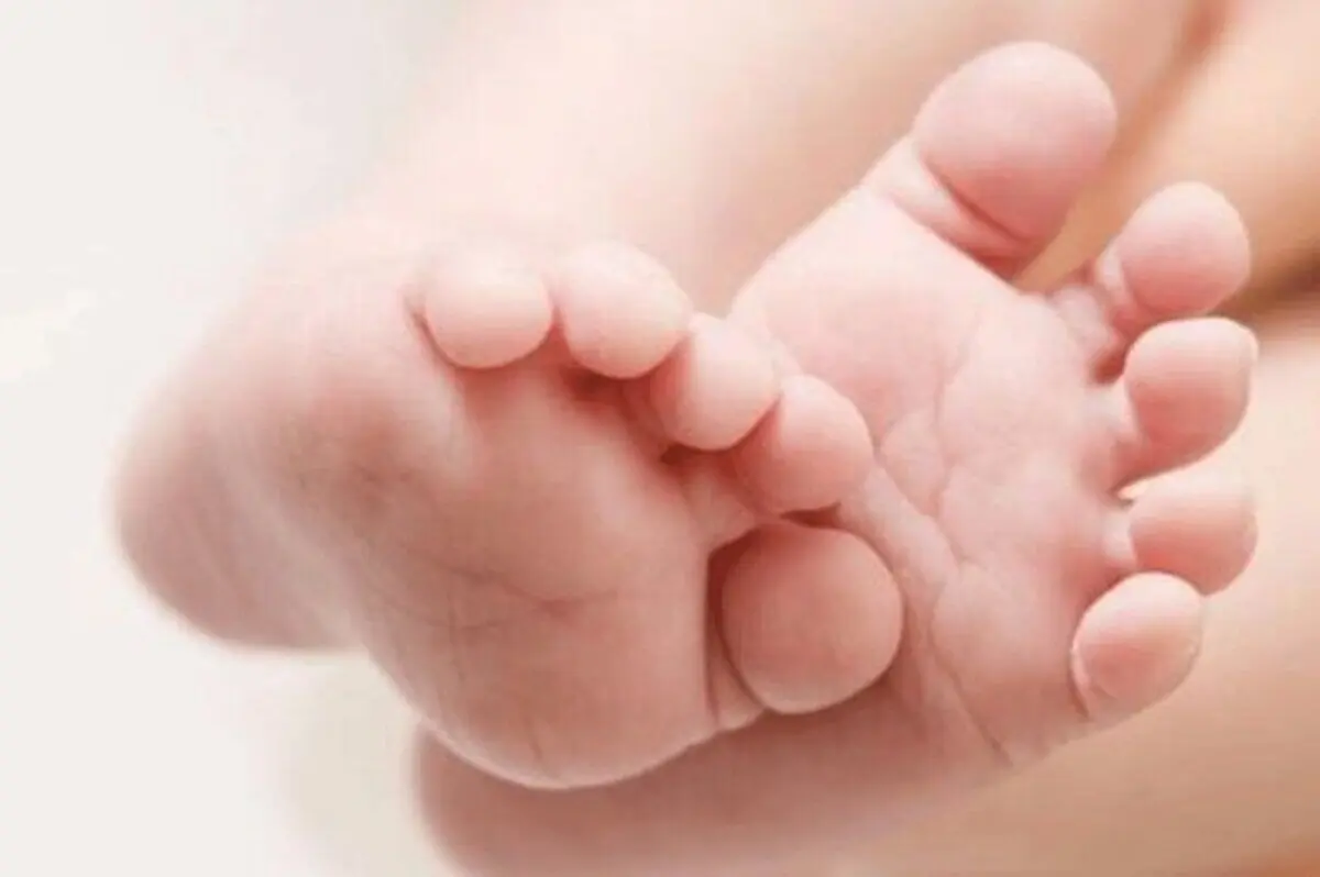 تصاویری حیرت انگیز از مراقبت یک سگ از نوزاد انسان