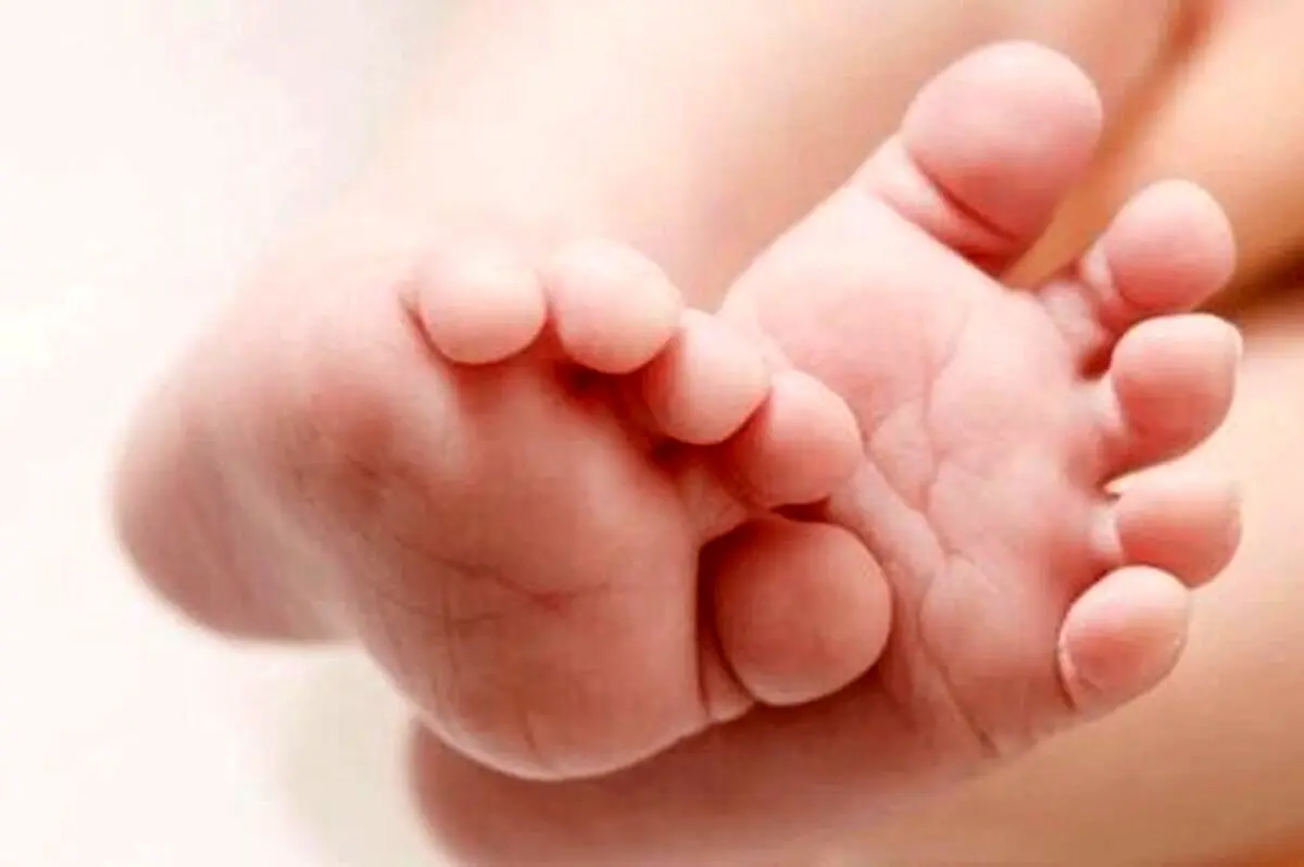 تصاویری حیرت انگیز از مراقبت یک سگ از نوزاد انسان