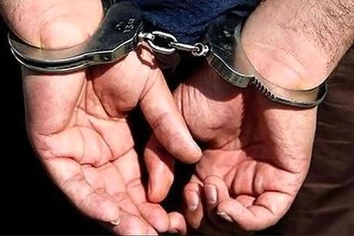 پلیس: دستگیری ۱۳ تن از عوامل ایجاد ناآرامی در بهشتزهرا