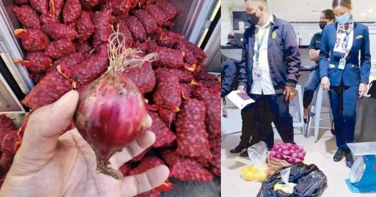 (عکس) ۱۰ میهماندار فیلیپین متهم به قاچاق پیاز