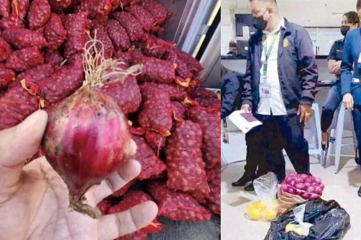 (عکس) ۱۰ میهماندار فیلیپین متهم به قاچاق پیاز