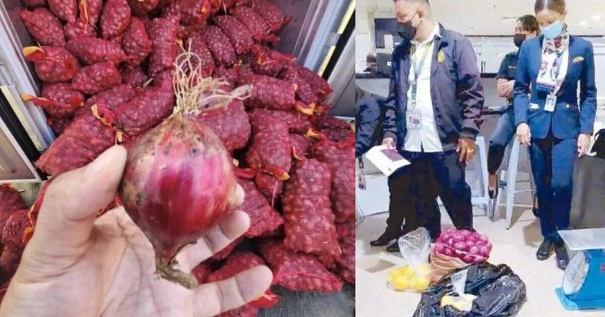 (عکس) ۱۰ میهماندار فیلیپین متهم به قاچاق پیاز