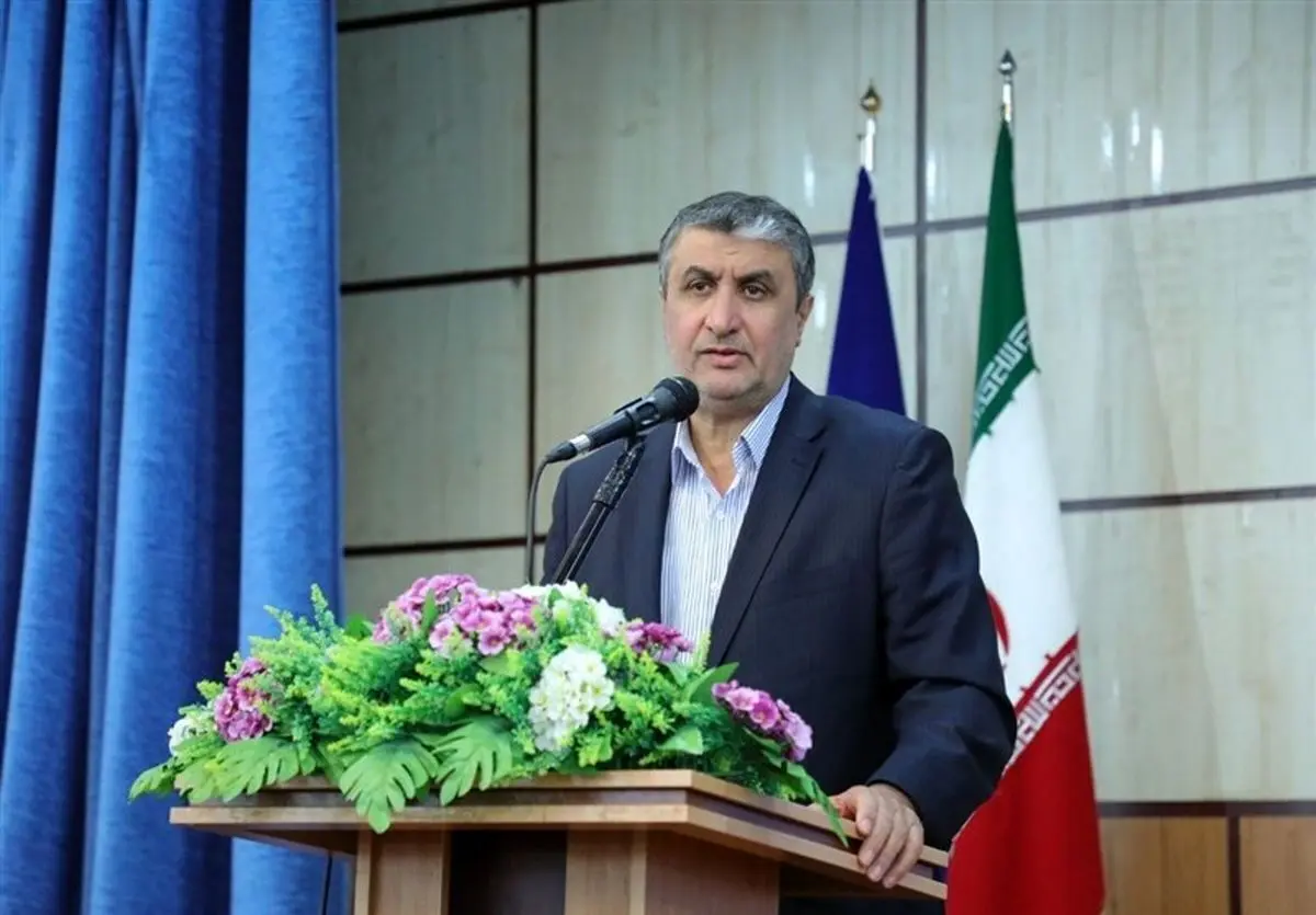 هیچ فعالیت اعلام نشده و سایت معرفی نشده در ایران وجود ندارد / گروسی اعلام آمادگی کرده به ایران بیاید