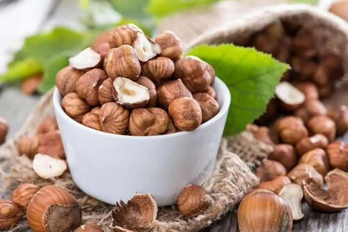 فواید شگفت‌انگیز فندق برای سلامتی بدن