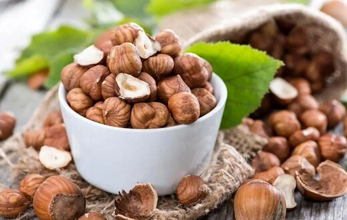 فواید شگفت‌انگیز فندق برای سلامتی بدن
