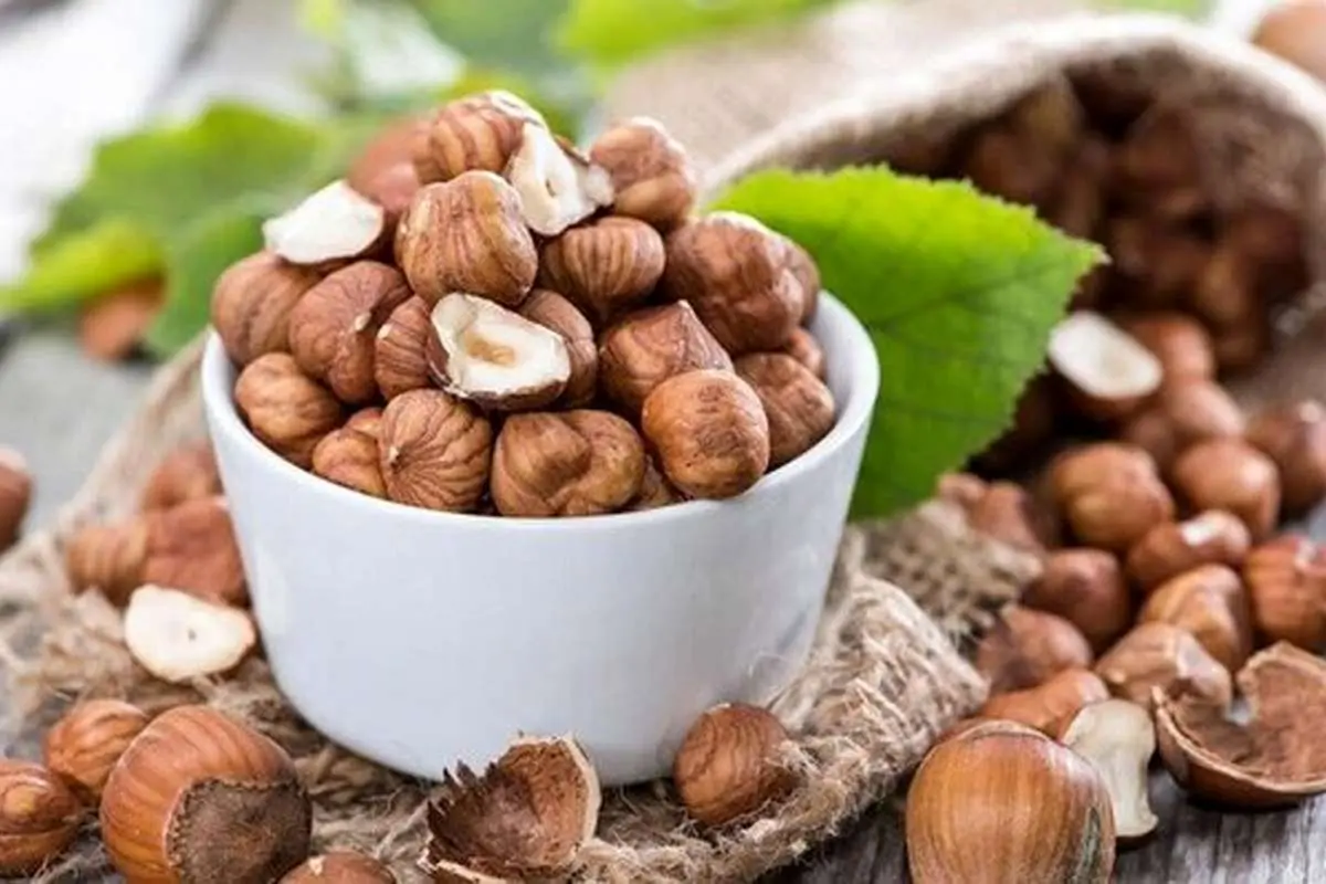فواید شگفتانگیز فندق برای سلامتی بدن