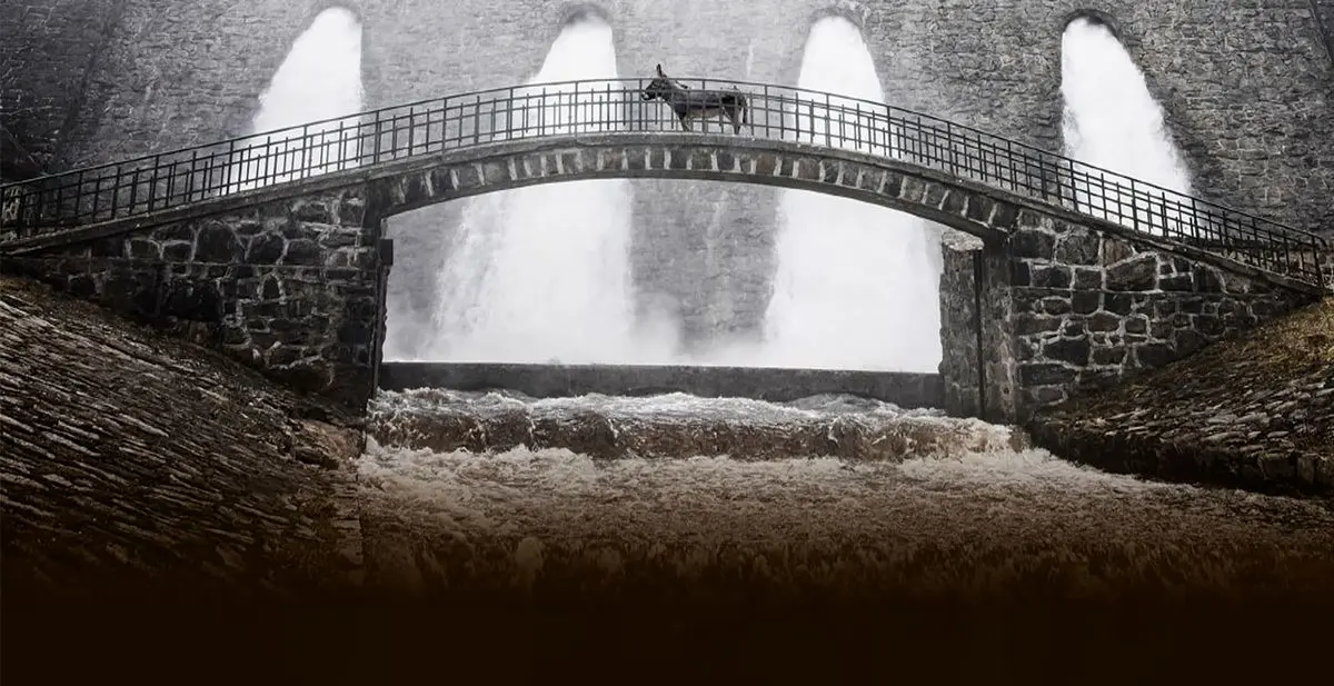 چرا هیچ‏‌کس ناز خر را نمی‏‌خرد؟