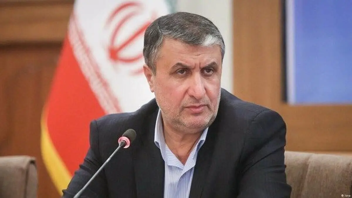 رئیس انرژی اتمی: در حال پیگیری سفر مدیرکل آژانس به ایرانیم