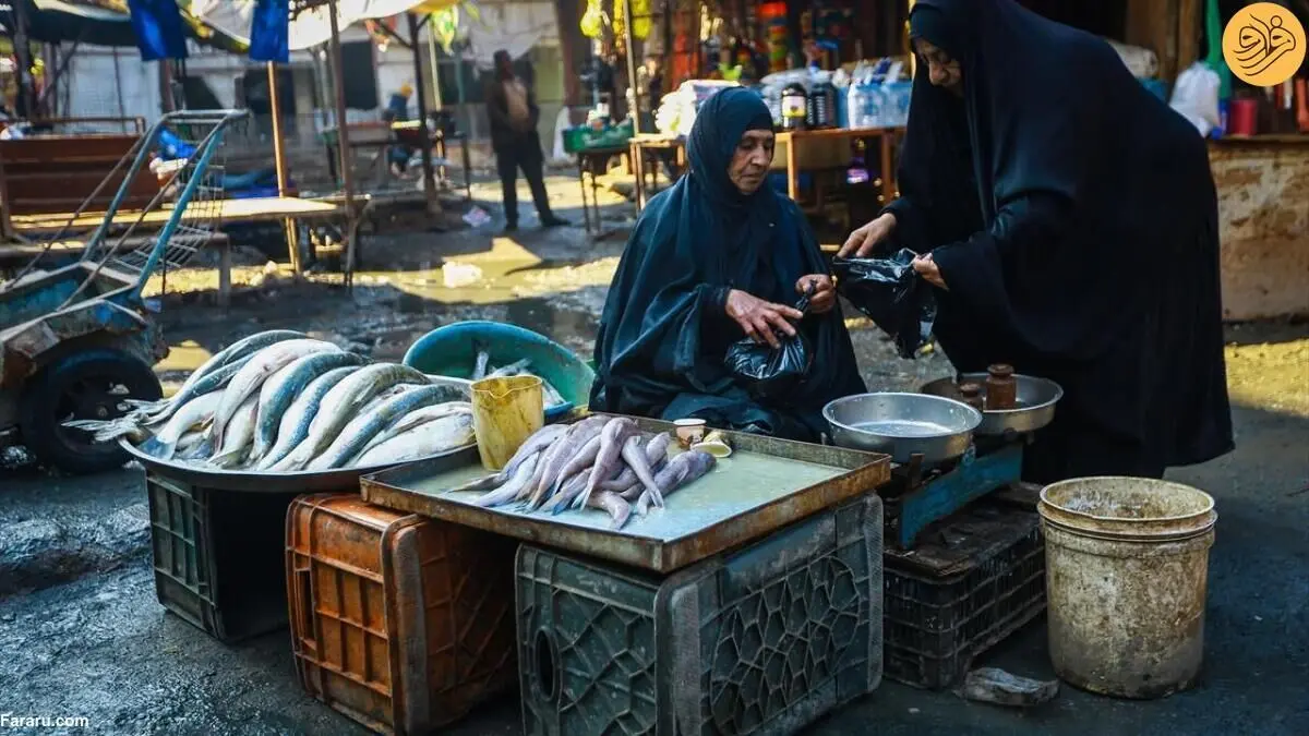 (تصاویر) بازار ماهی در بصره