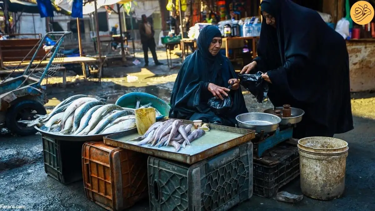 (تصاویر) بازار ماهی در بصره