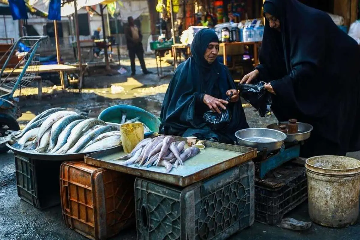 (تصاویر) بازار ماهی در بصره