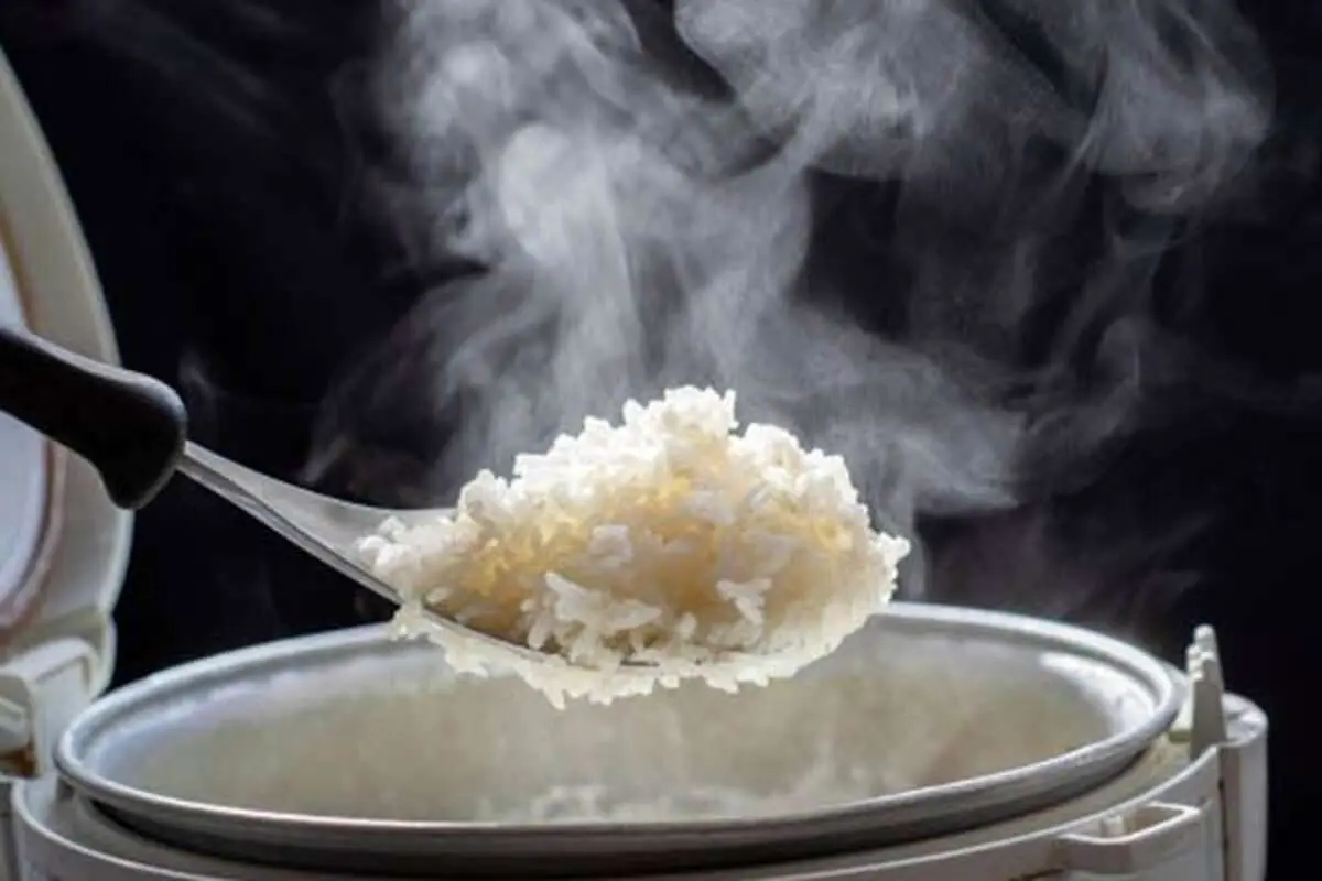 با برنج شفته شده چکار کنیم