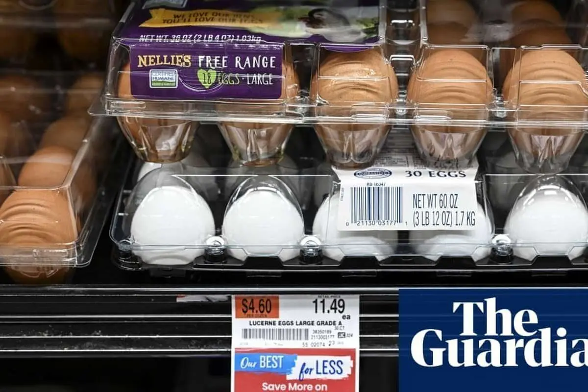 ۱۲ عدد ۱۸ دلار: چگونه تخم مرغ‌های آمریکا به طرز عجیبی گران شدند؟