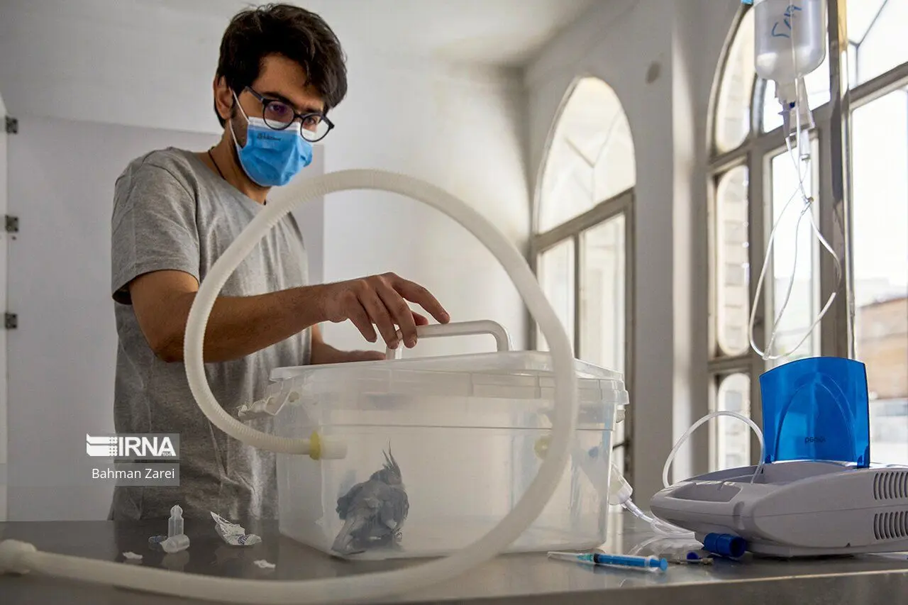 (تصاویر) بیمارستان حیوانات