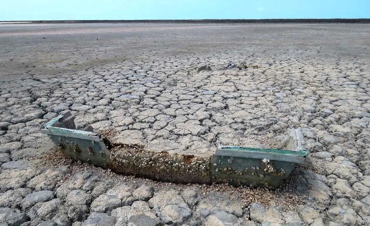(ویدئو) تصاویری تلخ از این تالاب کشور که نمکزار شد