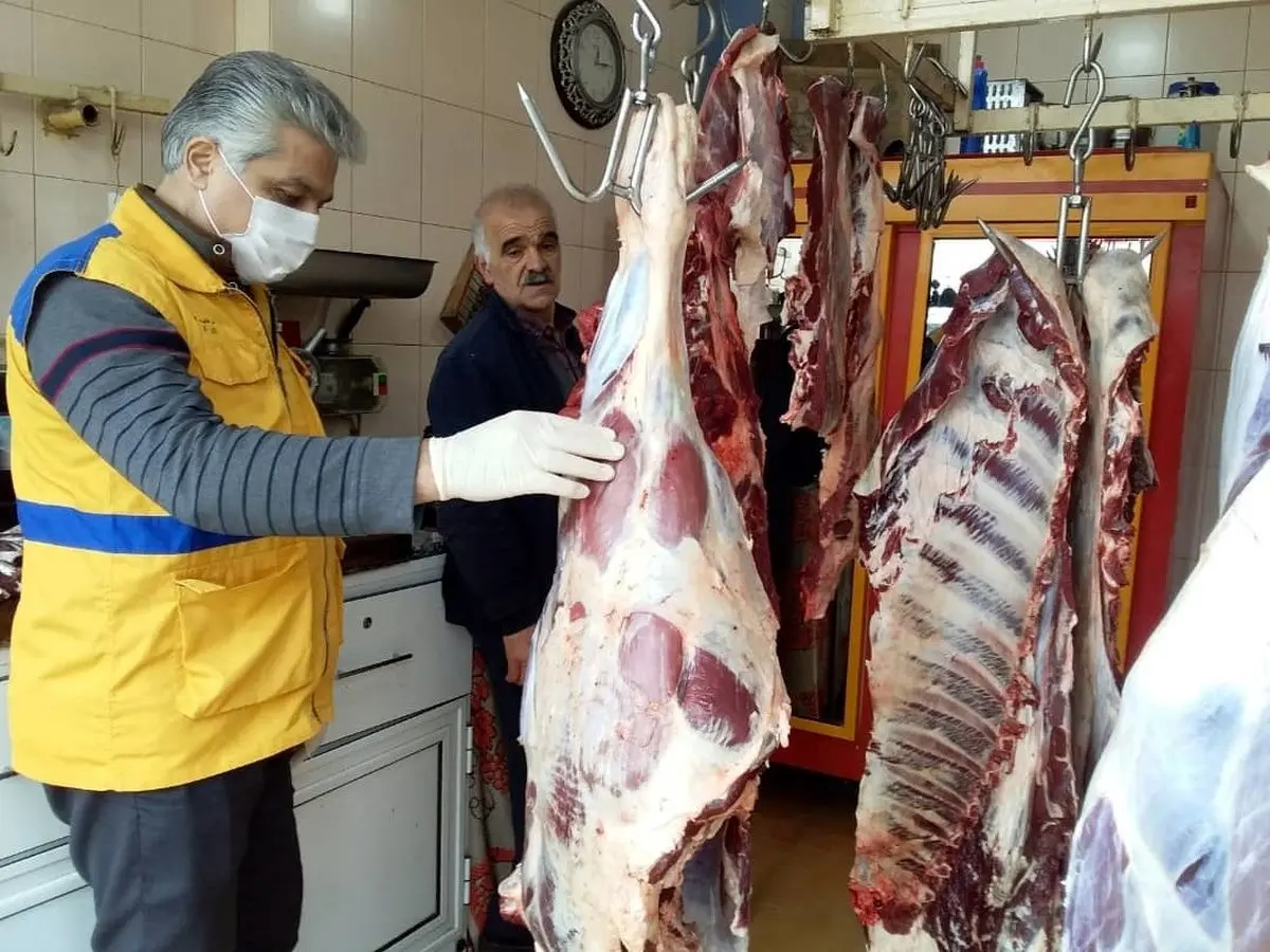 توزیع گوشت قرمز گرم وارداتی تا ۲ روز دیگر