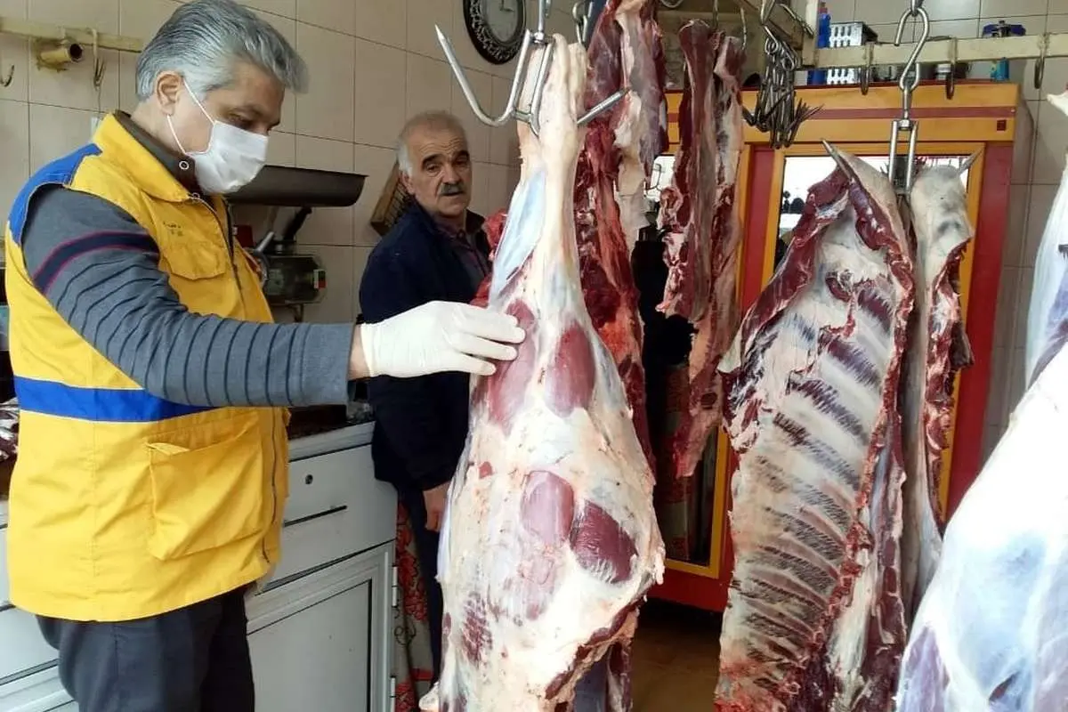 توزیع گوشت قرمز گرم وارداتی تا ۲ روز دیگر