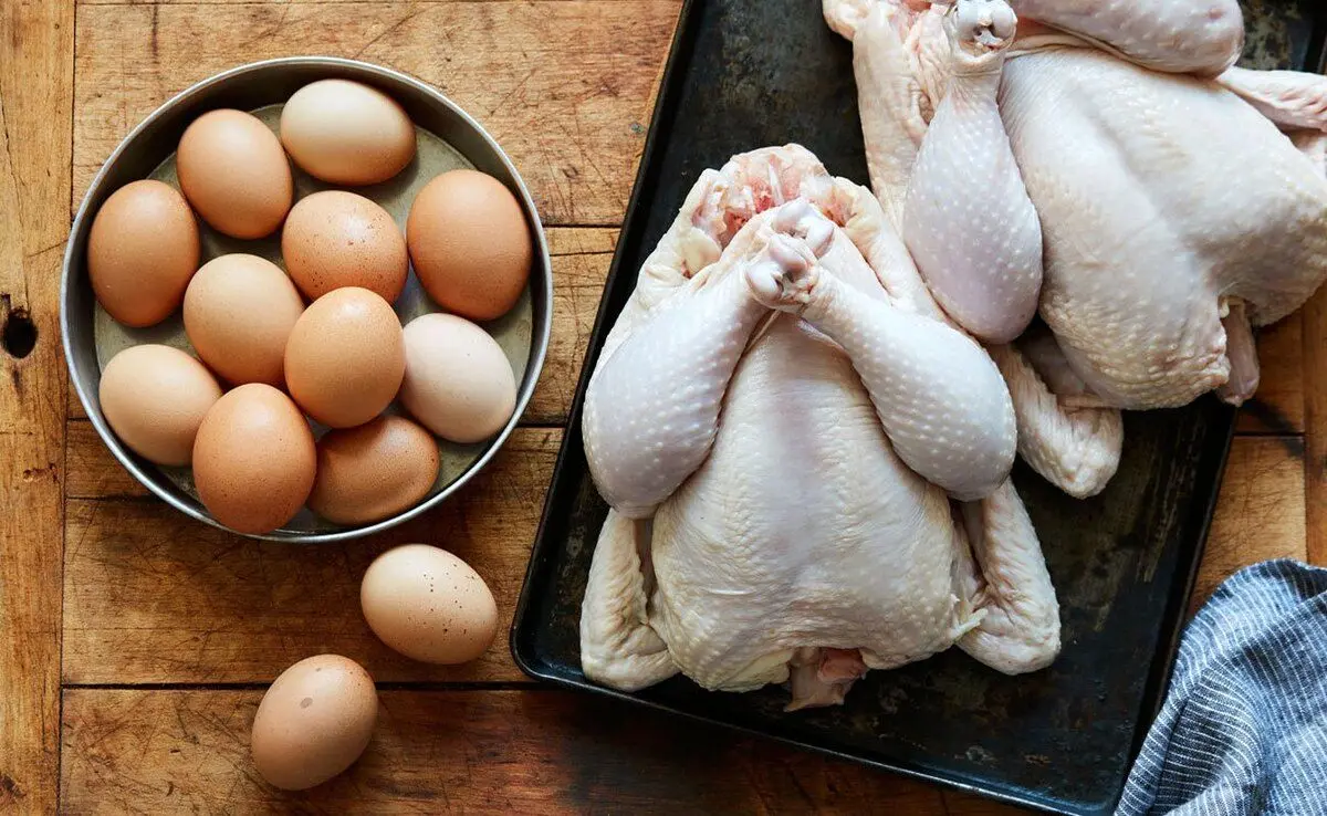 جدیدترین قیمت مرغ و تخم‌مرغ در میادین / هر شانه ۳۰ عددی و هر کیلو مرغ چند؟