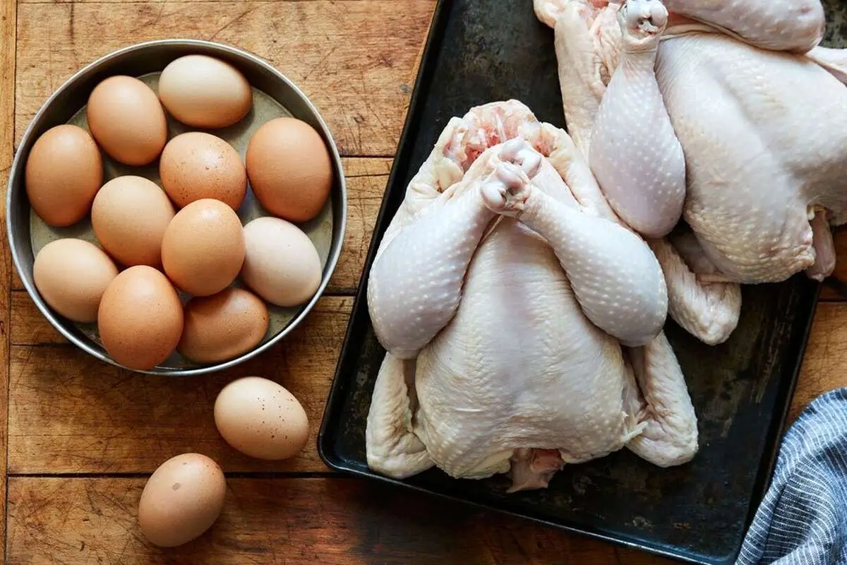 جدیدترین قیمت مرغ و تخممرغ در میادین / هر شانه ۳۰ عددی و هر کیلو مرغ چند؟