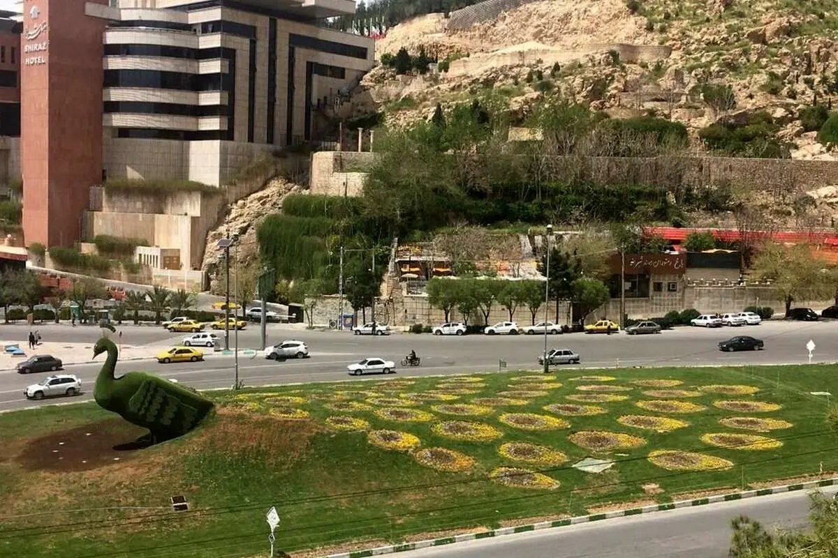 (تصاویر) طاووس بدقواره شیراز دوباره برمی‌گردد