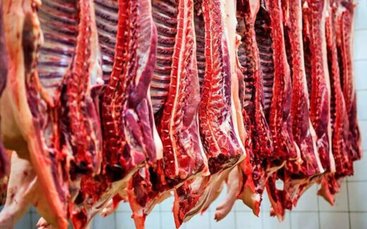 منتظر ارزانی شدید گوشت در بازار باشیم؟