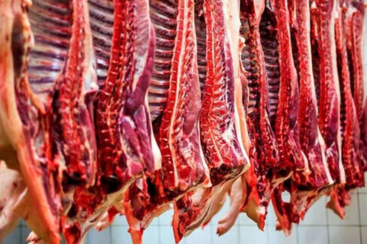 منتظر ارزانی شدید گوشت در بازار باشیم؟