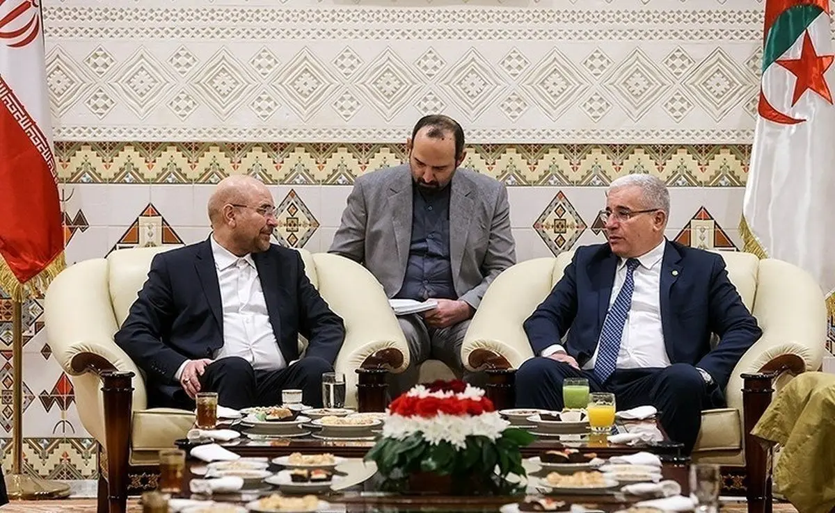 پس‌لرزه «لاف یا گاف» جنجالی قالیباف در الجزایر؛ مشکل اصلی، «تاریخ نخواندن» است