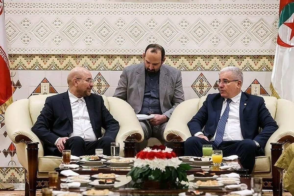 پسلرزه «لاف یا گاف» جنجالی قالیباف در الجزایر؛ مشکل اصلی، «تاریخ نخواندن» است