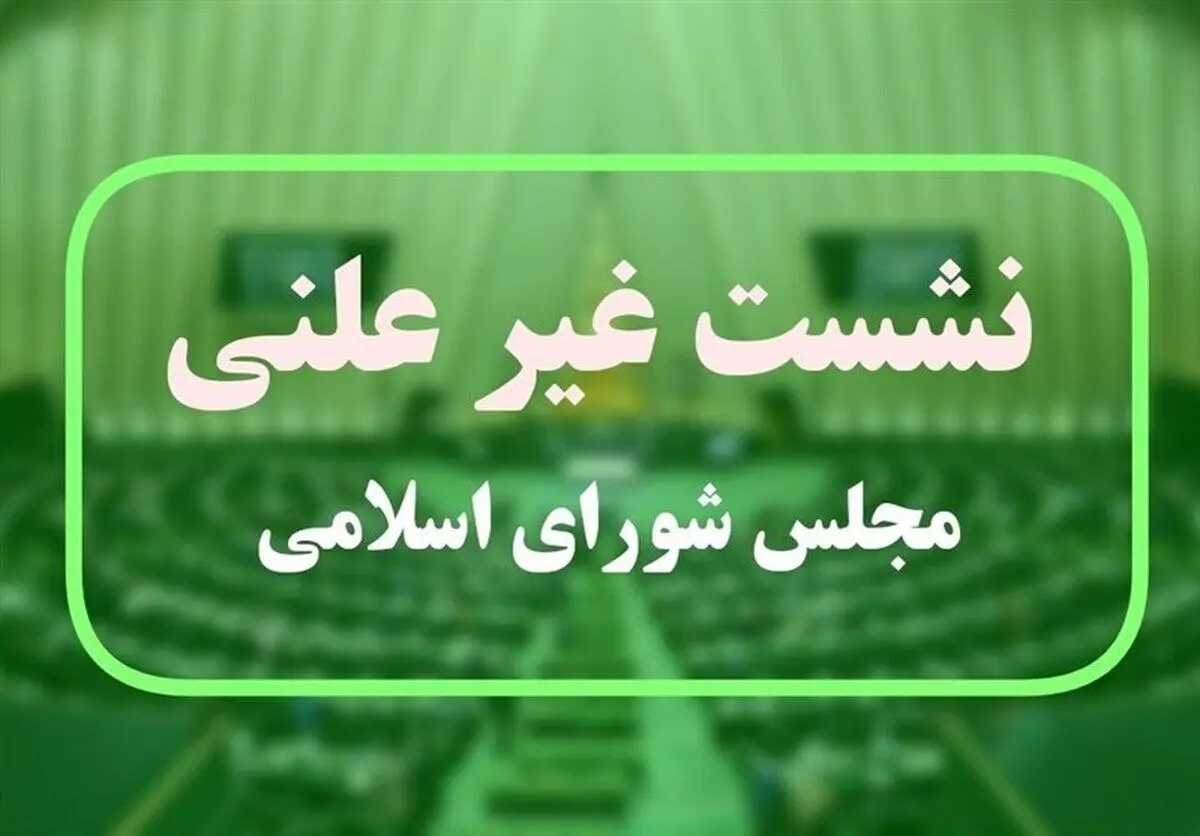 جزئیات جلسه غیرعلنی مجلس درباره مولدسازی